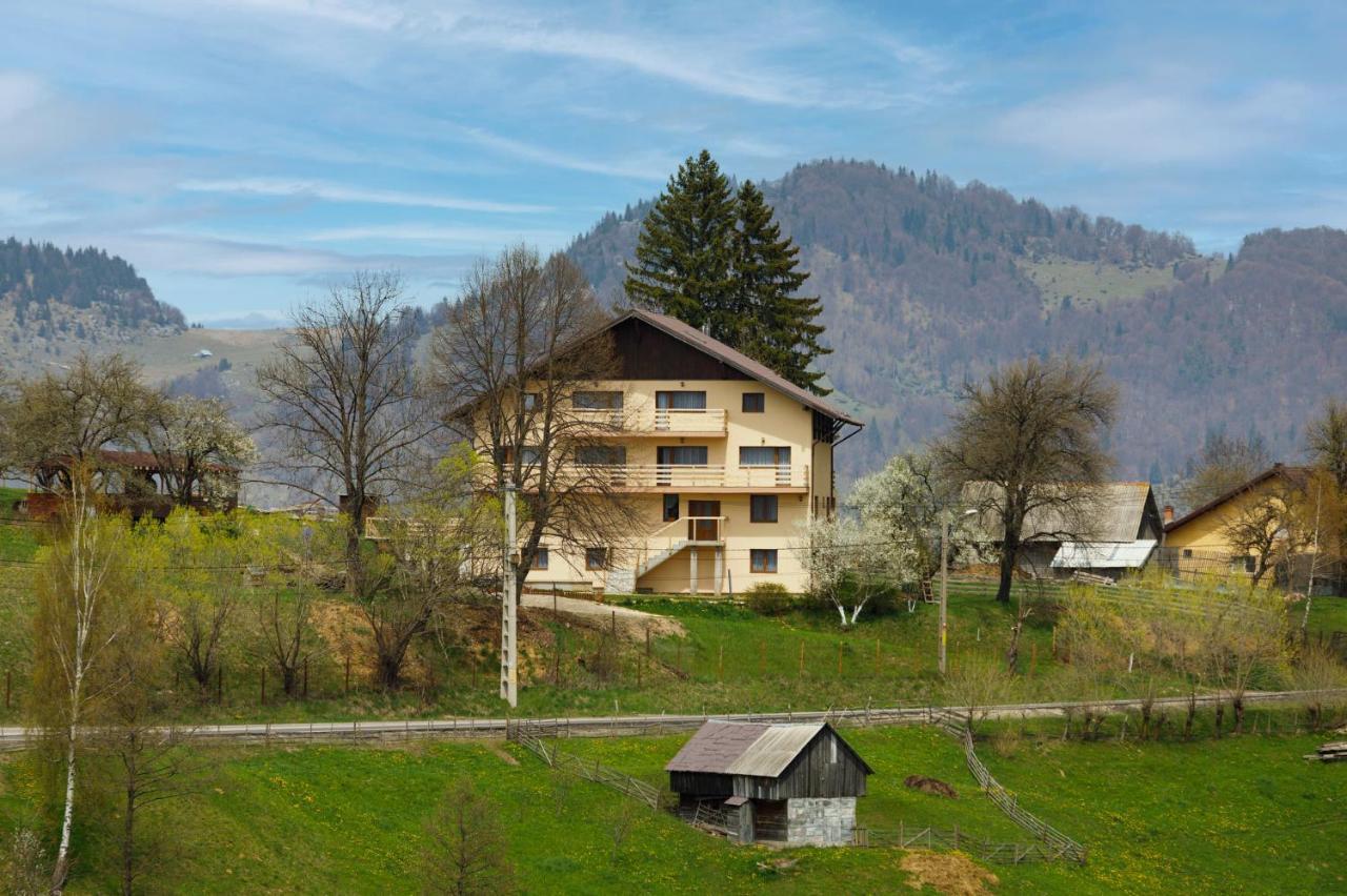Transylvanian House Drumu Carului Luaran gambar